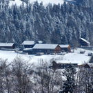 DSC07579.JPG