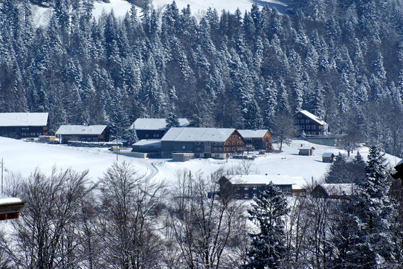 DSC07579.JPG