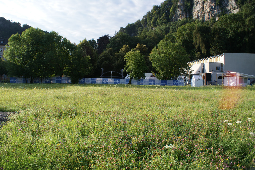 DSC00513_JPG-1374214054