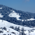 DSC07589.JPG