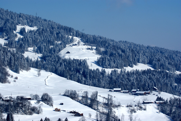 DSC07589.JPG