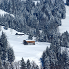 DSC07590.JPG