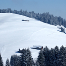 DSC07599.JPG