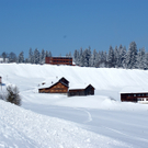 DSC07603.JPG