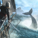 AC4BF_SC_SP_02_Whale_1000tcm2599994.jpg