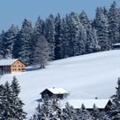 DSC07607.JPG