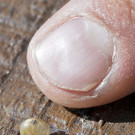 ABD0010-20130718.jpg