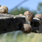 ABD0016-20130718.jpg