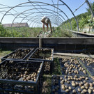ABD0009-20130718.jpg
