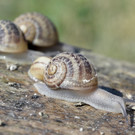 ABD0012-20130718.jpg
