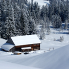 DSC07614.JPG