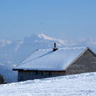DSC07639.JPG