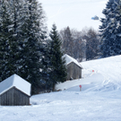 DSC07653.JPG