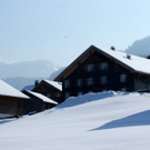 DSC07681.JPG