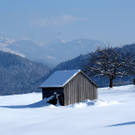 DSC07692.JPG