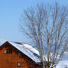 DSC07697.JPG