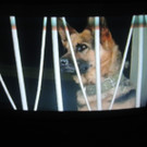 DSCN5729_JPG-1374250623