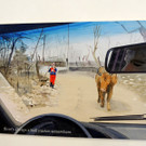 DSCN5761_JPG-1374250709