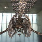 DSCN4435_JPG-1374251889