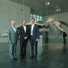 DSC_0752_JPG-1374251903