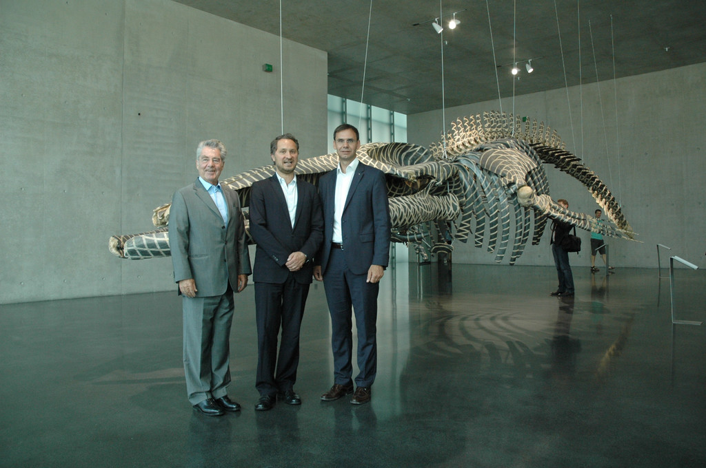 DSC_0752_JPG-1374251903