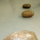 DSCN2727_JPG-1374251859