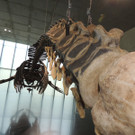 DSCN4433_JPG-1374251880