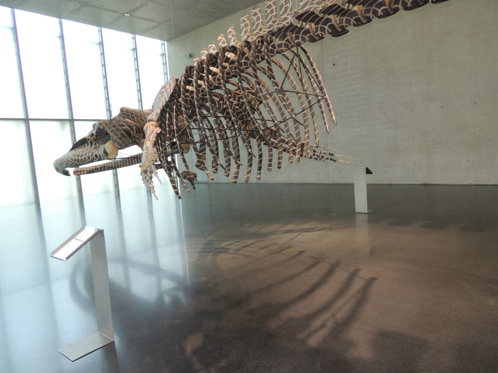 DSCN4429_JPG-1374251876