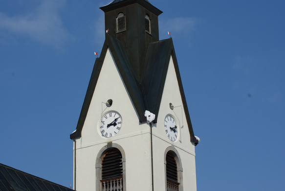 DSC07723.JPG