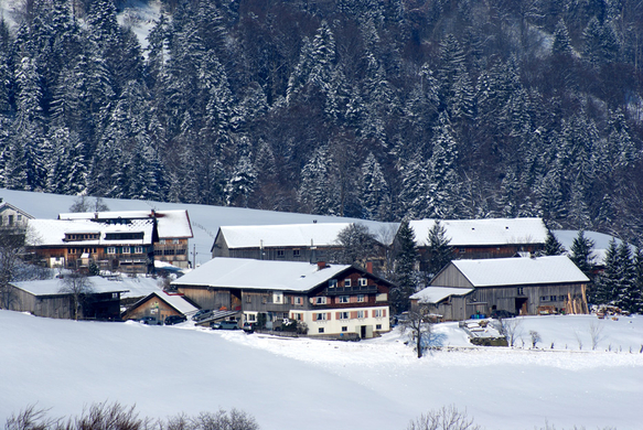 DSC07766.JPG