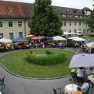 Jesuheim SOMMERFEST 2013 _9__jpg-1374266674