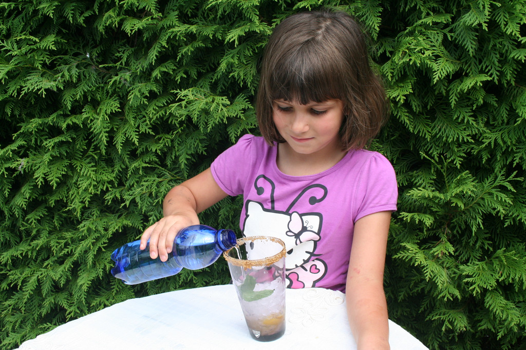 Schritt 4c F__lle alles mit Mineralwasser auf____jpg-1374337168