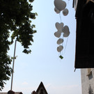 IMG_9915_jpg-1374337648