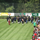 IMG_2878_JPG-1374346472