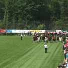 IMG_2902_JPG-1374346796