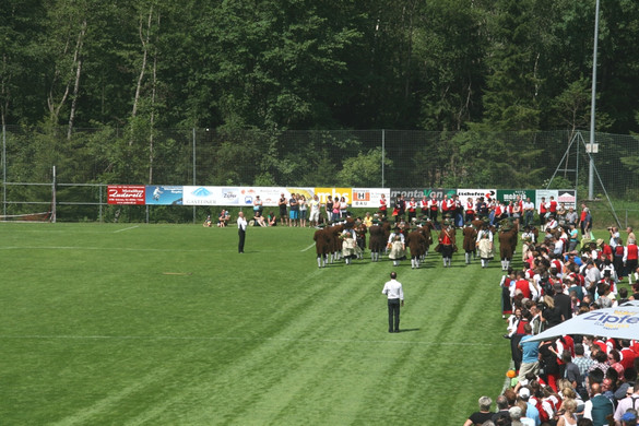 IMG_2902_JPG-1374346796