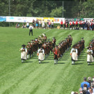 IMG_2905_JPG-1374346828