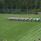 IMG_2907_JPG-1374346847