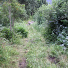 IMG_0775.JPG