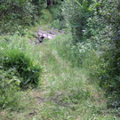 IMG_0778.JPG