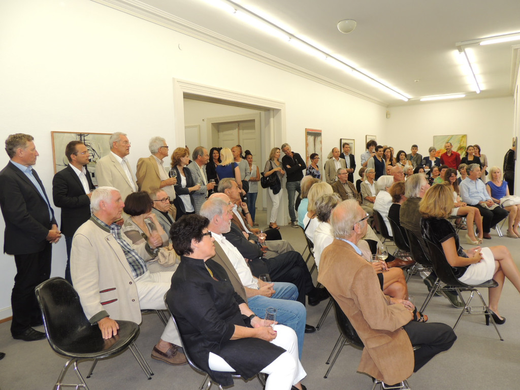 DSCN6795_JPG-1374385574