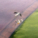 DSCN6870_JPG-1374385682