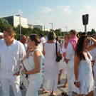 white1_jpg-1374394050