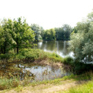 19.JPG