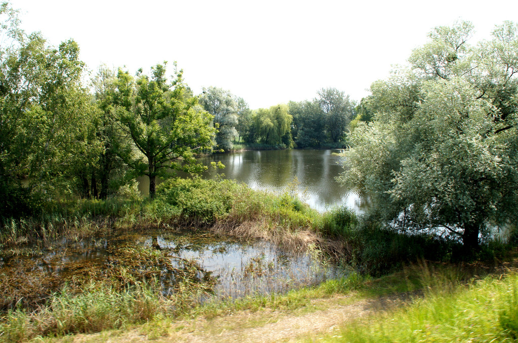 19.JPG