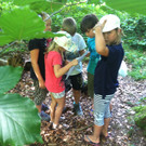 IMG_5557_JPG-1374411823