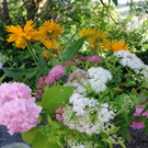 15 Jahre Faires Fr__hst__ck im Weltladen 19_ und 20_7_2013 016.JPG