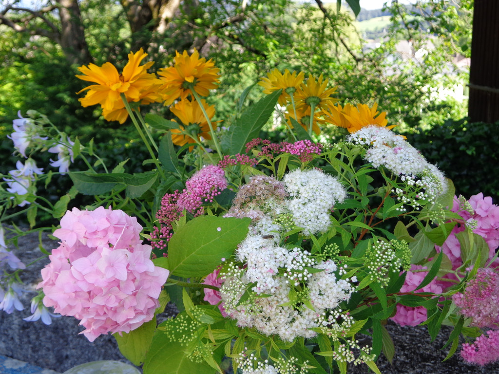 15 Jahre Faires Fr__hst__ck im Weltladen 19_ und 20_7_2013 016.JPG