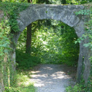 Ruine16Kaspartor_jpg-1374443541