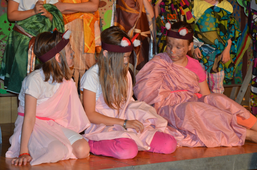 DSC_3757_JPG-1374465872